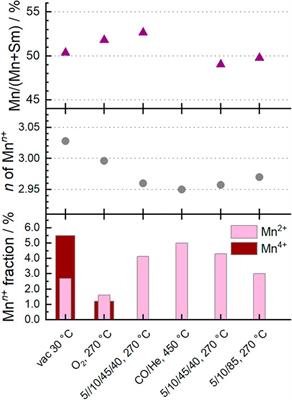 The Influence of the Chemical Potential on Defects and Function of Perovskites in Catalysis